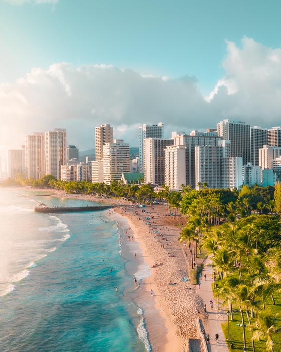 Waikiki Beach Walls