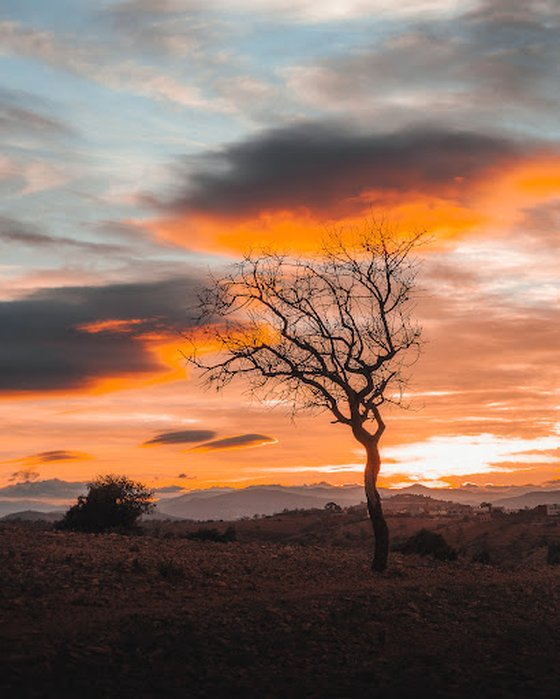 The Colors of the Sunset