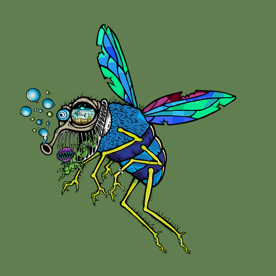 Funky Fly #6809