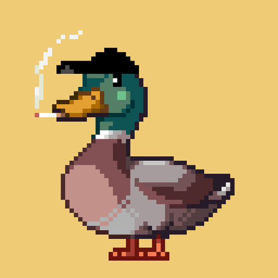 Mallard #1613