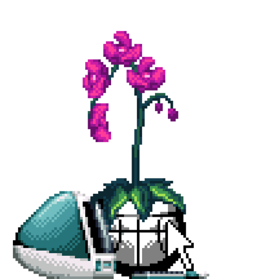 Purple Orchid in Net Art Basketball pot with iMac