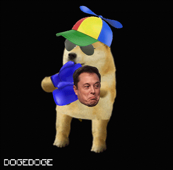 DOGEDOGE #381