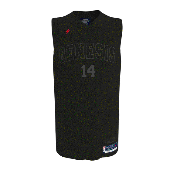 Alt Jersey #14