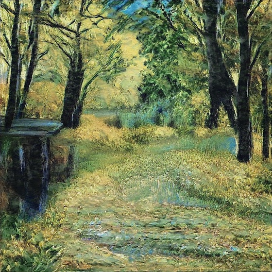 stream in the country