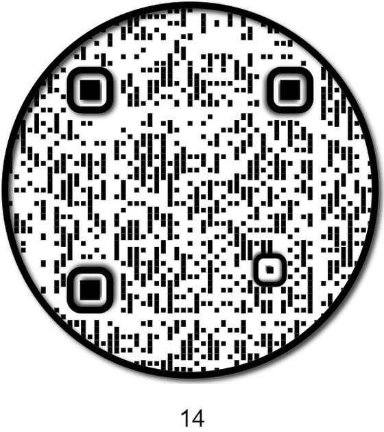 APE QR #14