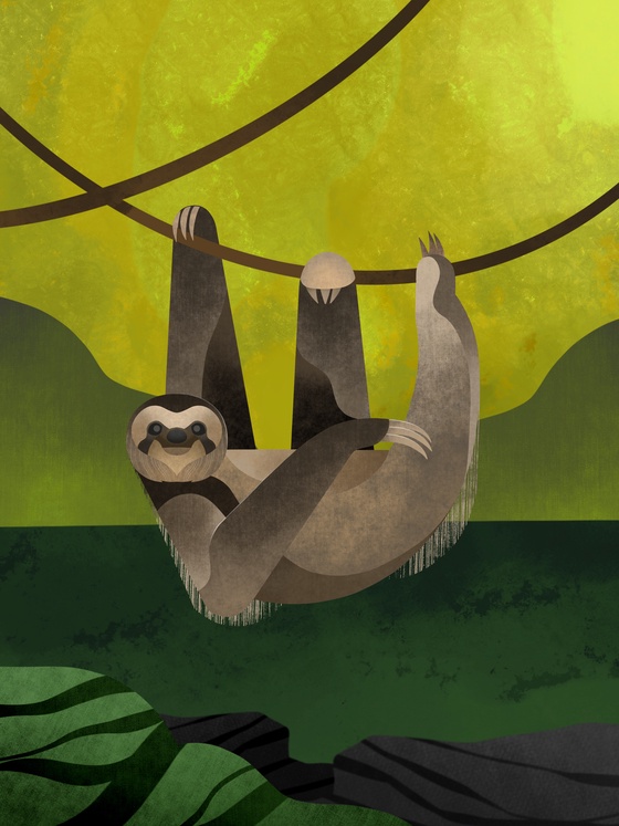 Sloth