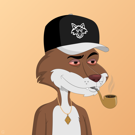 Billionaire Coyote #729