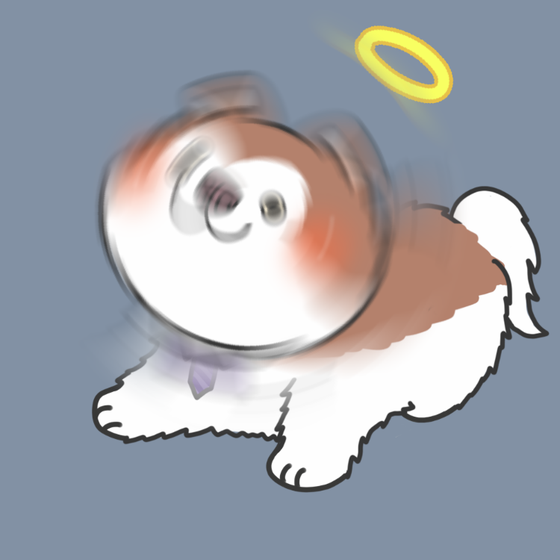 DogDrill#964