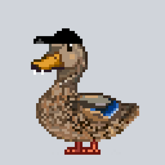 Mallard #8218