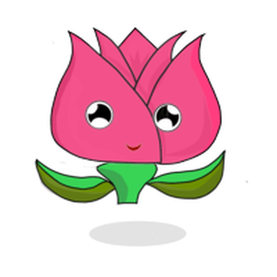 Tulipa chroma