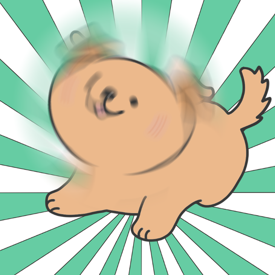 DogDrill#637