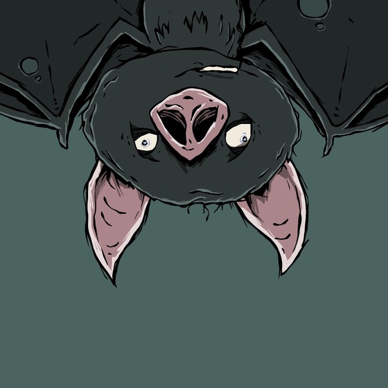 Moon Bats #719