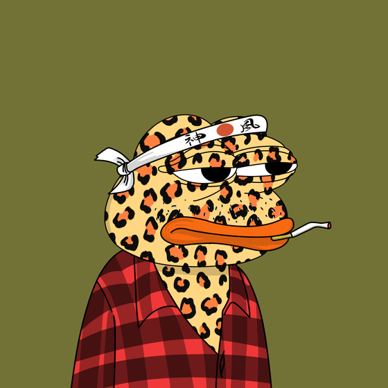 Bored Pepe Yacht Club #8562