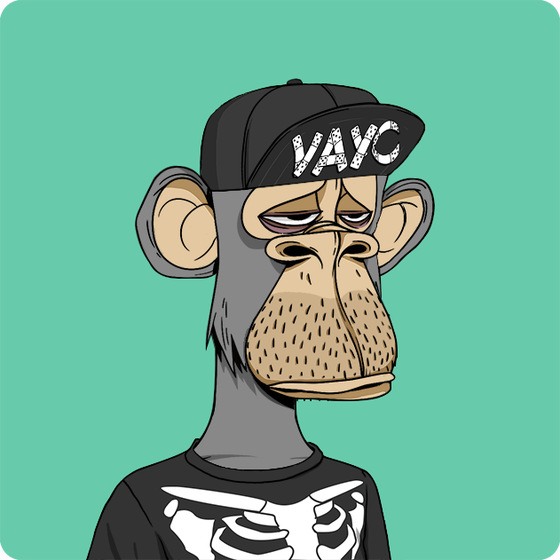 V.A.Y.C #7943