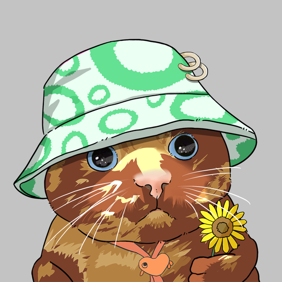 Puzzled cat #8407