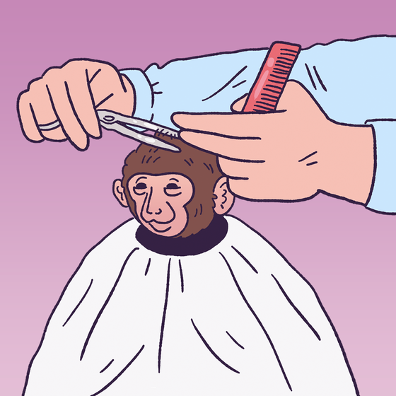 Haircut Monkey #1853