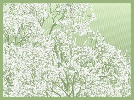 Entangled #182