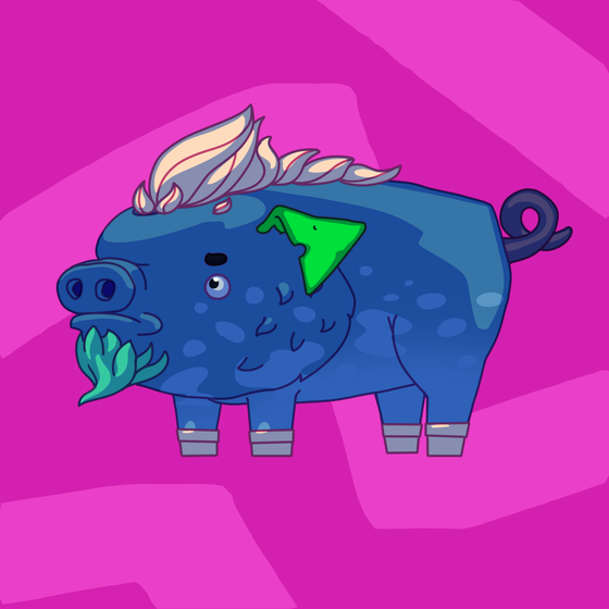 Pig #0240