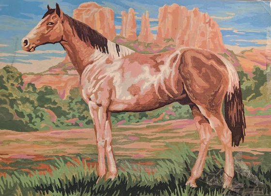 Rocky mountain horse