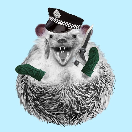 Hedgehog #590