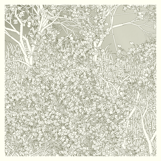 Entangled #131