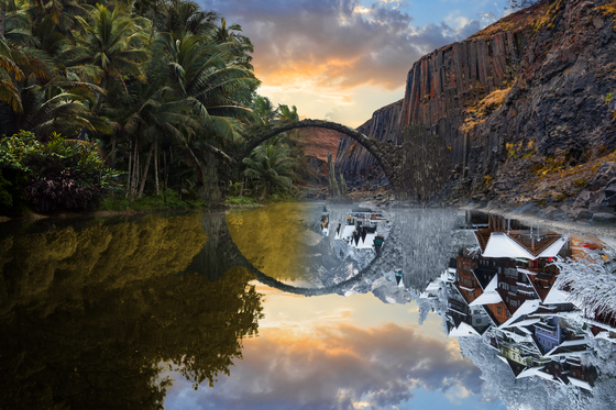 Reflection #295