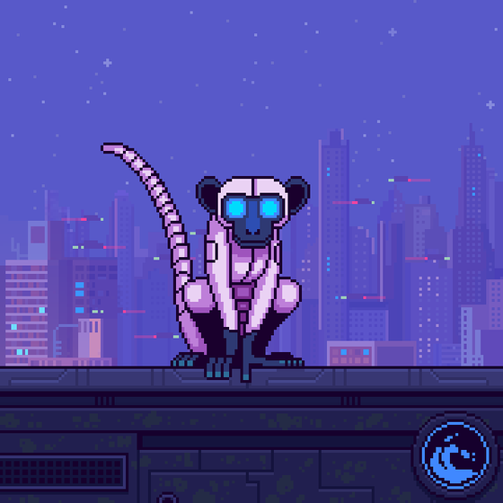 Animonkey #2241
