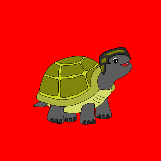 Turtle #5274