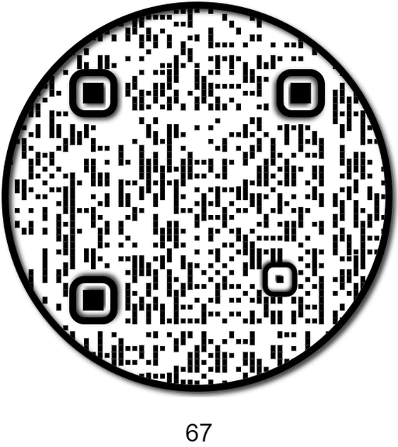 APE QR #67