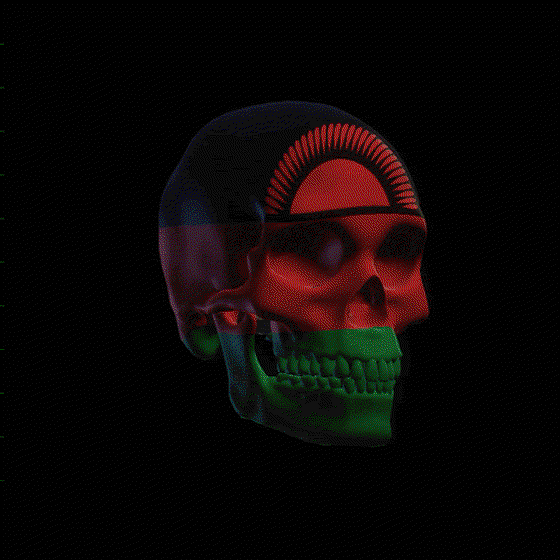 Malawi Skull Flag