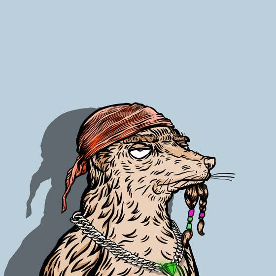 May of Tortuga