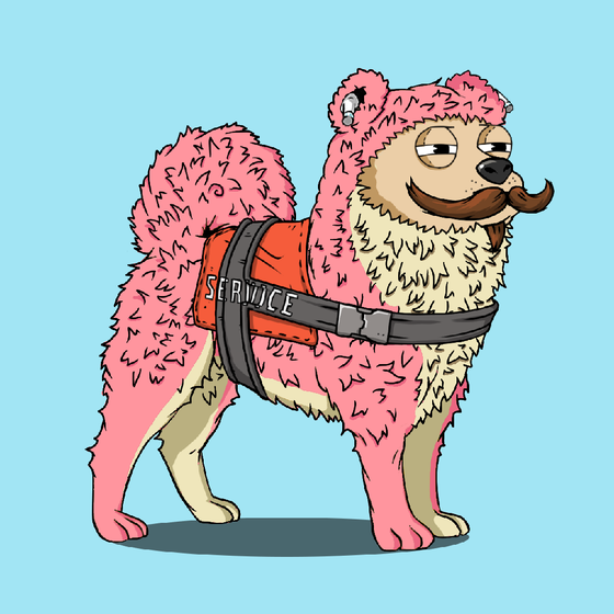 y00ts Canine Club #5244