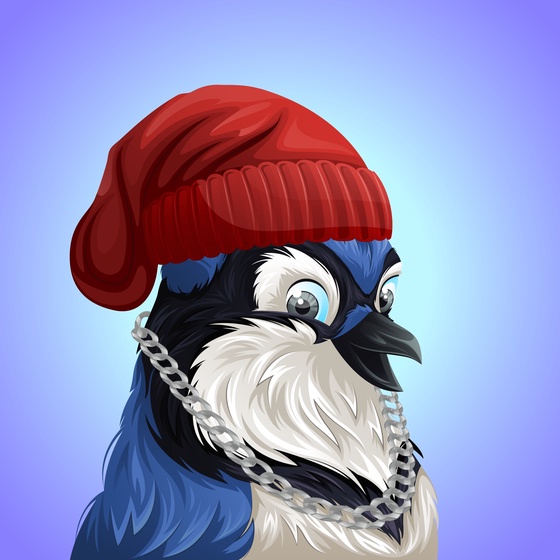 #2355 Bluejay