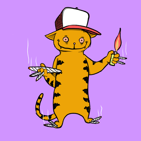 Blazed Cat #1618