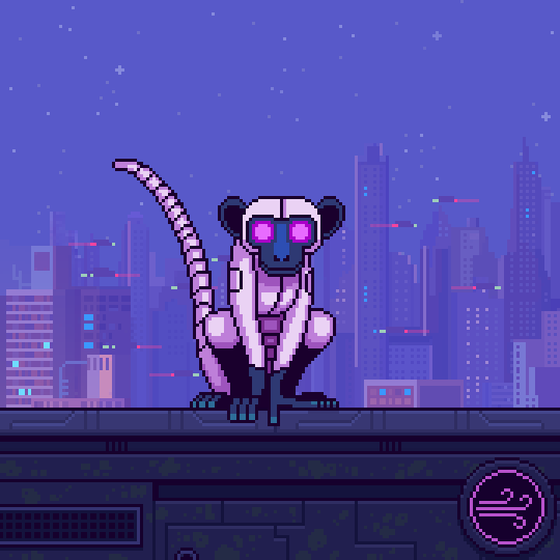 Animonkey #896