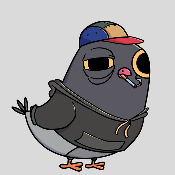 Pigeon #4302