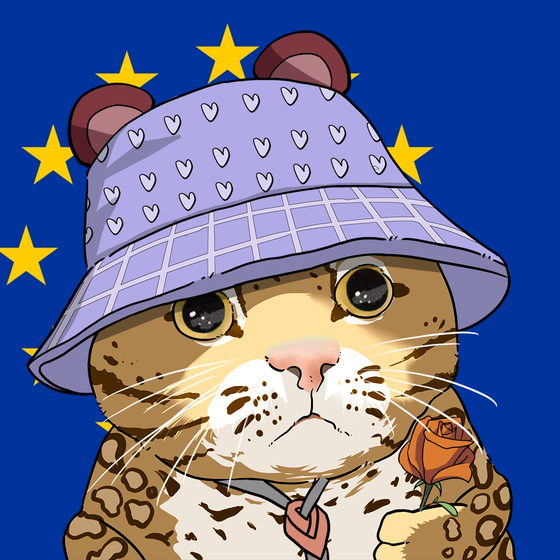 Puzzled cat #9994
