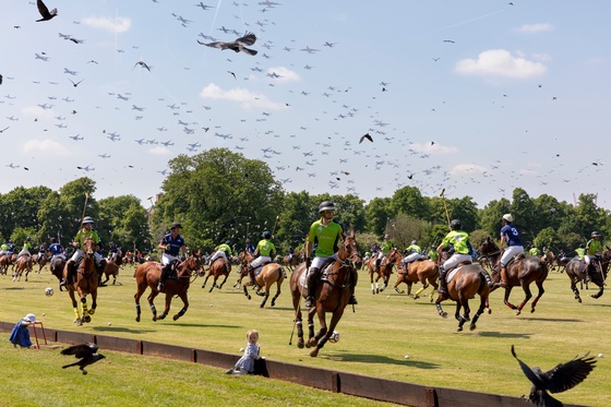 Ham Polo Club