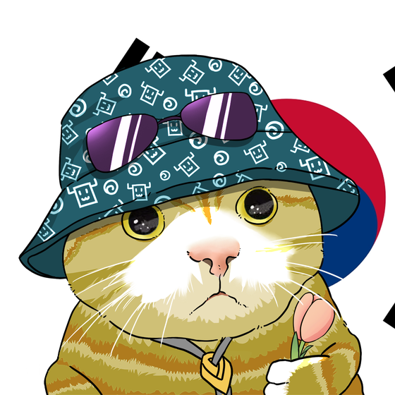 Puzzled cat #3779