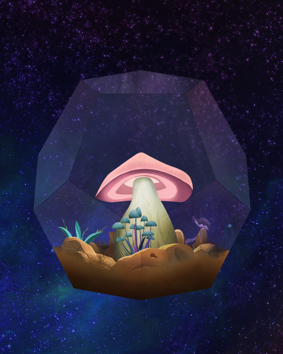 Mushroom #1258
