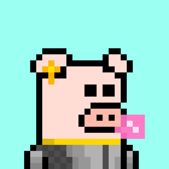 PIG #16