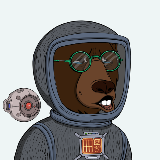 Okay Space Bear #5361