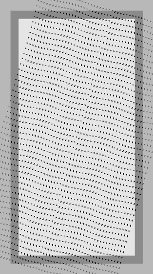 Monochrome Frames #1559