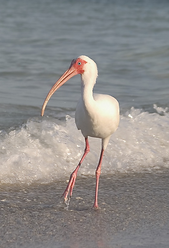 DaY At ThE BeAcH