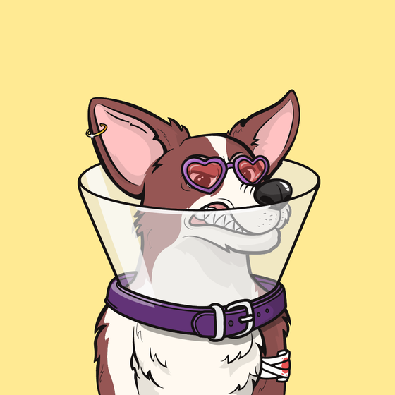 Approving Corgis #4697