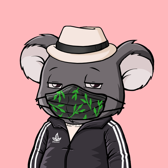 Koala Agent #2778