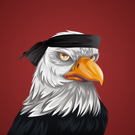 #1516 Bald Eagle