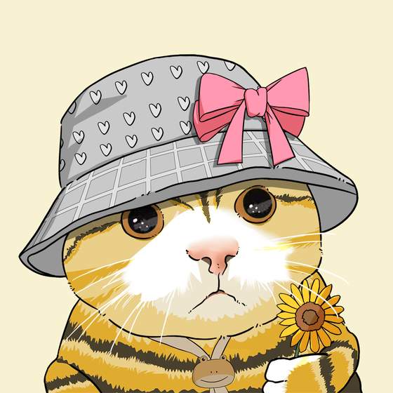 Puzzled cat #297