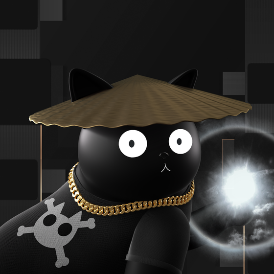 BlackCat#00720