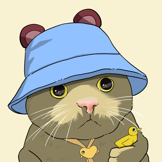 Puzzled cat #2106